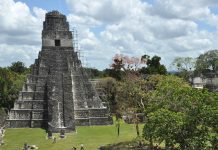 Park Narodowy Tikal w Gwatemali