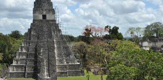 Park Narodowy Tikal w Gwatemali