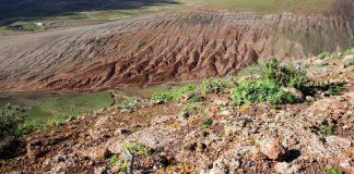 Rezerwat Biosfery Lanzarote (Hiszpania)