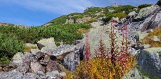 Tatrzański Rezerwat Biosfery