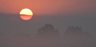 Poranek na Bagnach Przemkowskich