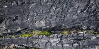 Sztuka naskalna w Val Camonica