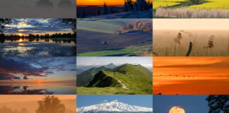 2020. Rok z życia fotografa