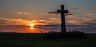 Migawki z magicznego Roztocza