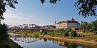 Rowerem z Głogowa do Ścinawy wzdłuż Odry