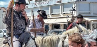 Arena walki z bykami w Camargue