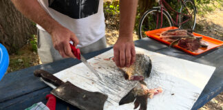 Bałkańskie migawki 2022