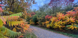 Z Wołowa do Lubiąża
