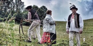 Koszenie łąki kosą w Wilkolińcu