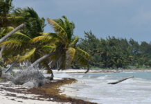 Rezerwat Biosfery Sian Kan (Meksyk)