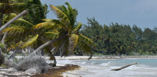 Rezerwat Biosfery Sian Kan (Meksyk)